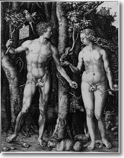 Albrecht Dürer, Adam and Eve
1504, Engraving